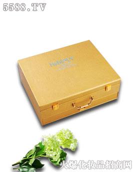 �Ϻ����t����Ƽ����޹�˾����֮��������@ʯ�M