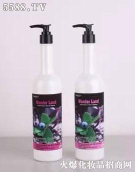 �B�T��ޢ���������l��Ʒ���޹�˾����ޢ���{ݮ�iɫ���Bϴ�o���b