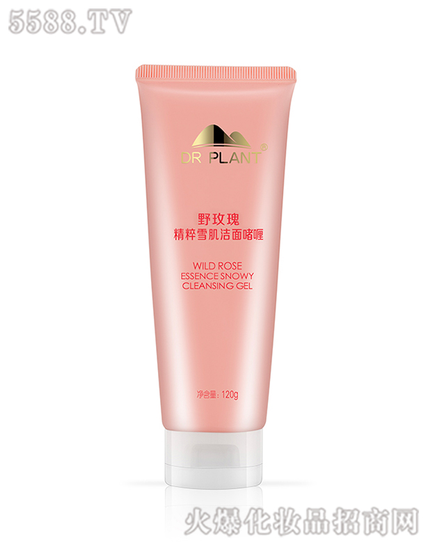 ����ֲ���t������Ƽ����޹�˾��ֲ���t��Ұõ��ˮ��͸�����憨�