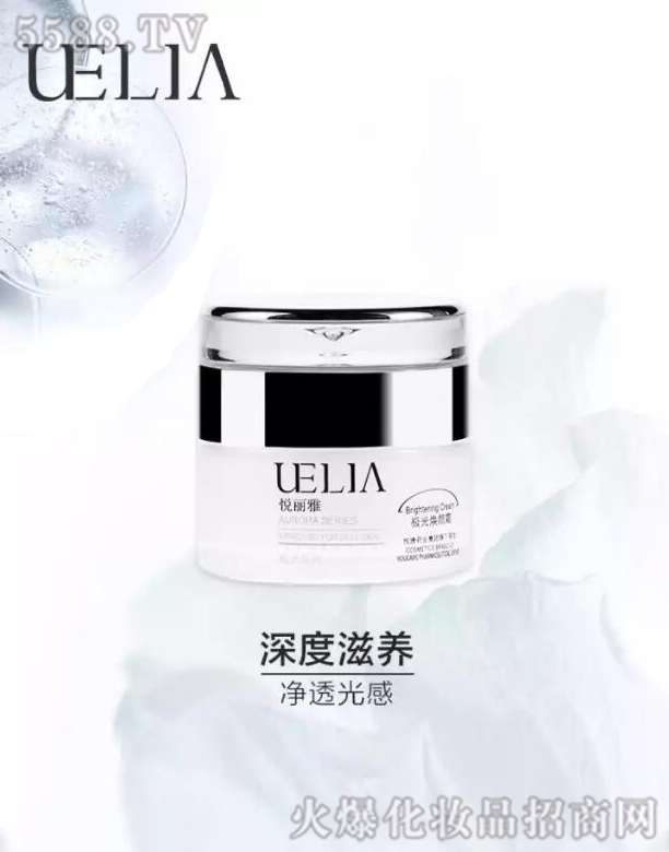 �����W���������Q���޹�˾�������ŘO�⟨�˪