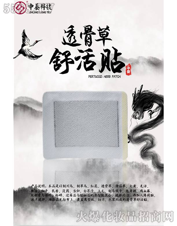 ���B�Ƽ�(�V�|)���޹�˾�����B͸�ǲ�����N