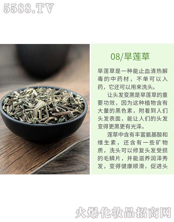 Ȫ���ֿ��tˎ���޹�˾���lѾѾ�ݱ�ֲ�����ϴ�l��ɷ֣���ɏ�ݣ�