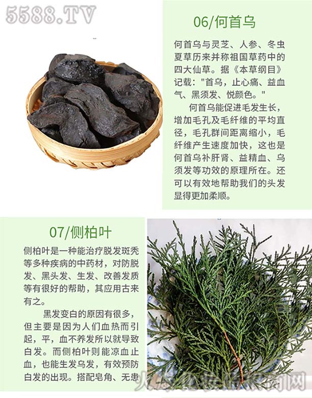 Ȫ���ֿ��tˎ���޹�˾���lѾѾ�ݱ�ֲ�����ϴ�l�飨���מ����Ȱ��~��