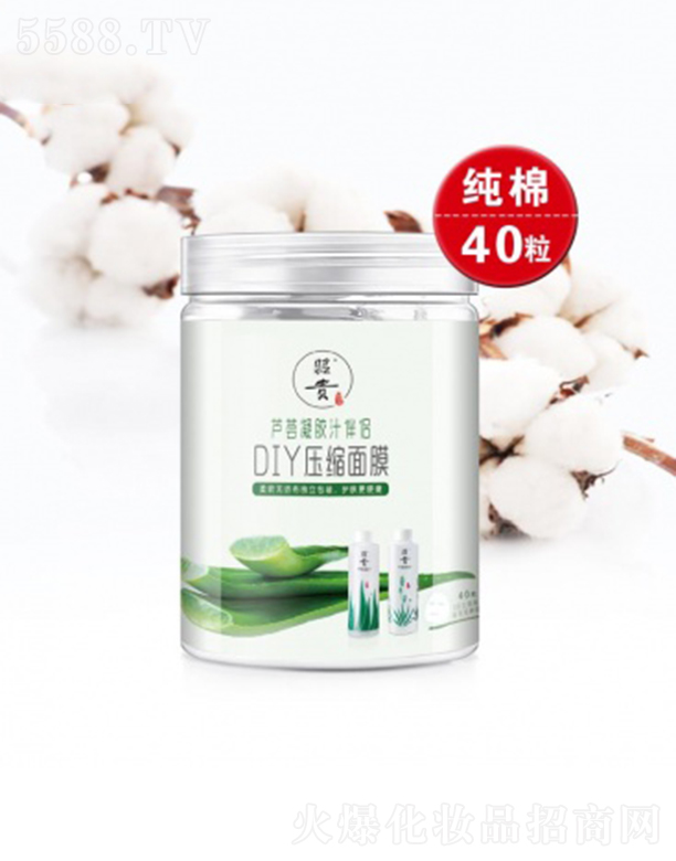 �������F�Ƽ��_�l(f��)����؟(z��)�ι�˾�����FDIY���s��Ĥ40��