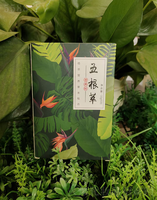 ����аl����ˎ�I����؟�ι�˾������͠I�B��10gx5��