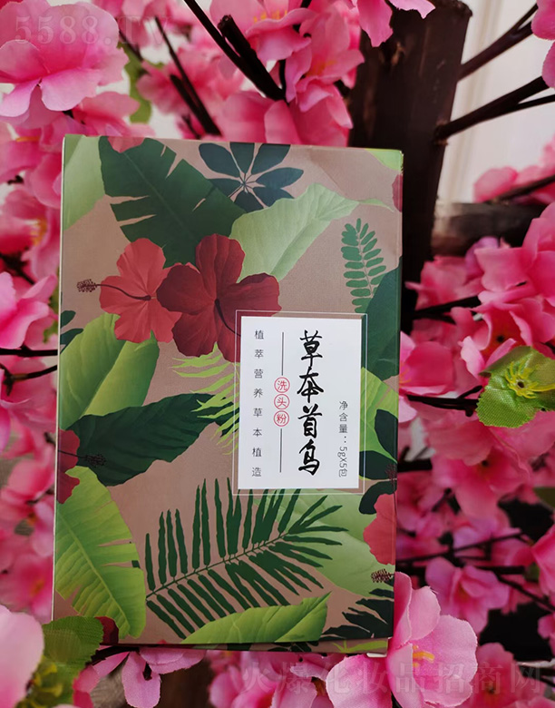 ����аl����ˎ�I����؟�ι�˾���ݱ��מ�ϴ�^��10gx5��