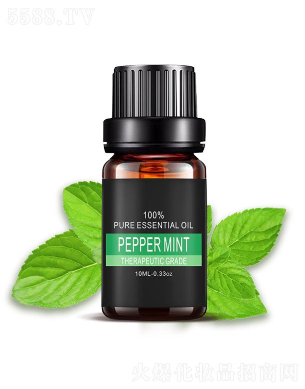 �V���а��ƅ^�ƿ����������S�������ű��ɾ���