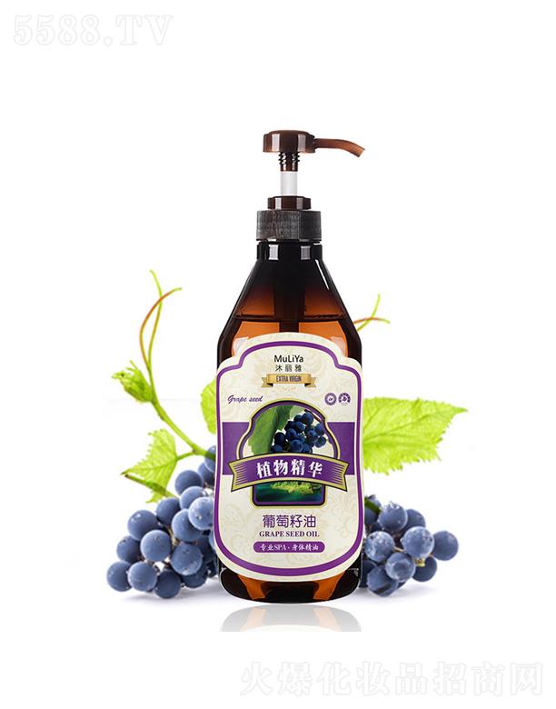 �V���а��ƅ^�ƿ����������S����������������