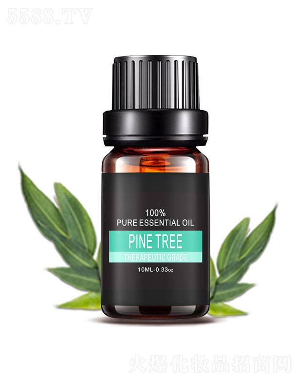 �V���а��ƅ^�ƿ����������S���������ɘ侫��