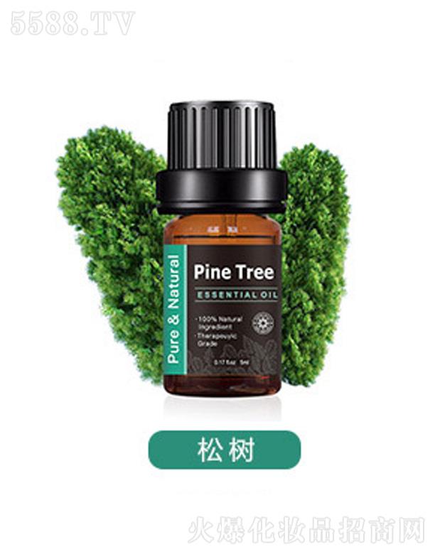 �V���а��ƅ^�ƿ����������S�����������η�����