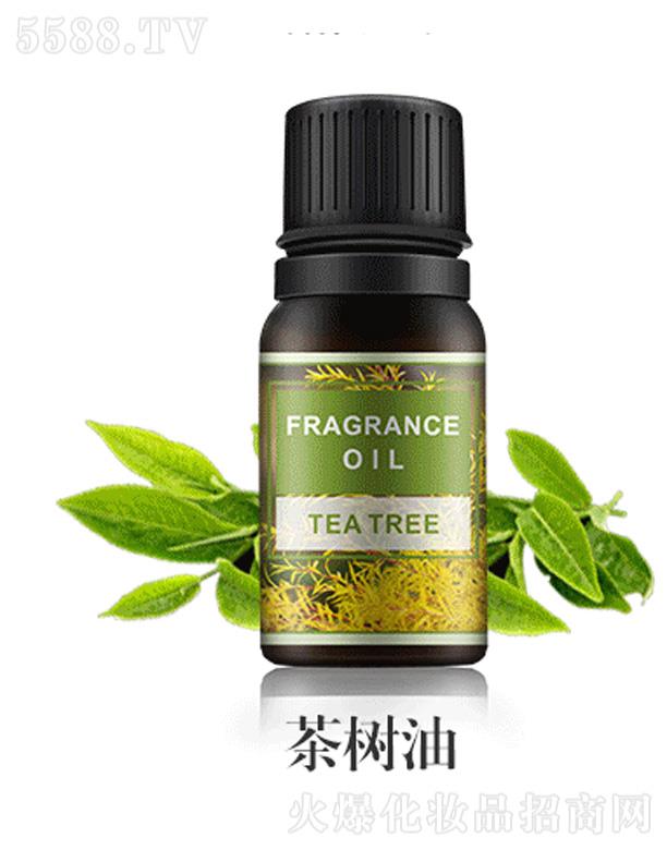 �V���а��ƅ^�ƿ����������S��������ˮ���Բ����޹����