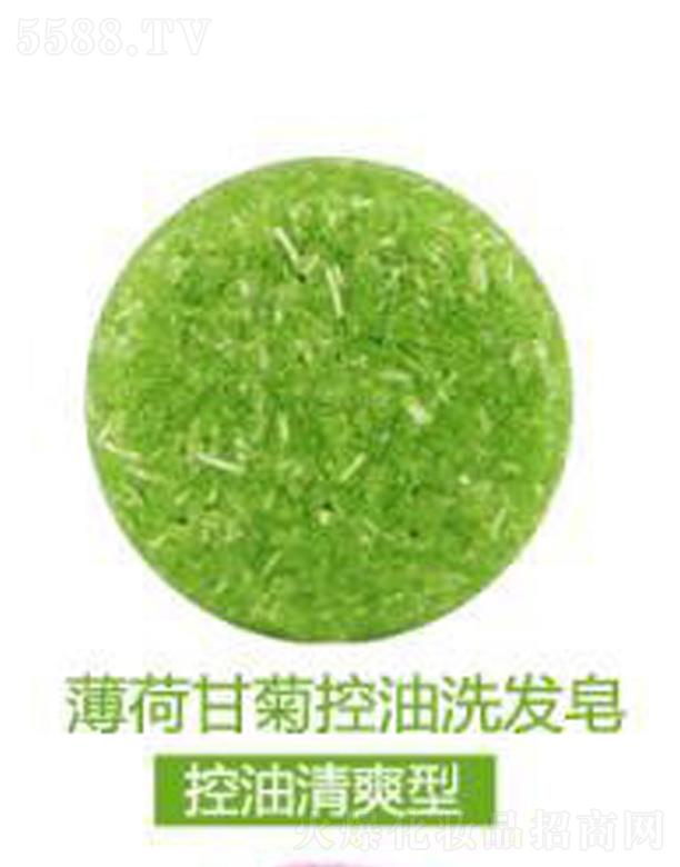 �V���G������Ƽ����޹�˾����ܽ�����ɸʾտ���ϴ�l��-������ˬ��