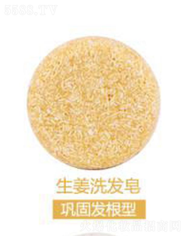 �V���G������Ƽ����޹�˾����ܽ������ϴ�l��-얹̰l����