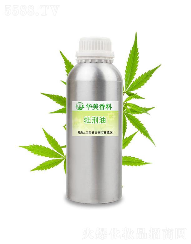 ��������ԭ�^�A����Ȼ�������្�S���A��ĵ�G��