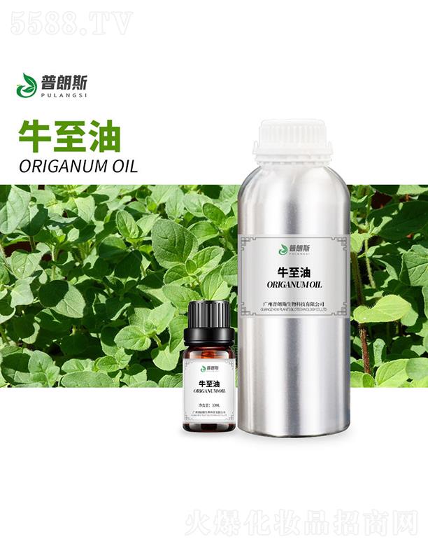 �V������˹����Ƽ����޹�˾������˹ţ����