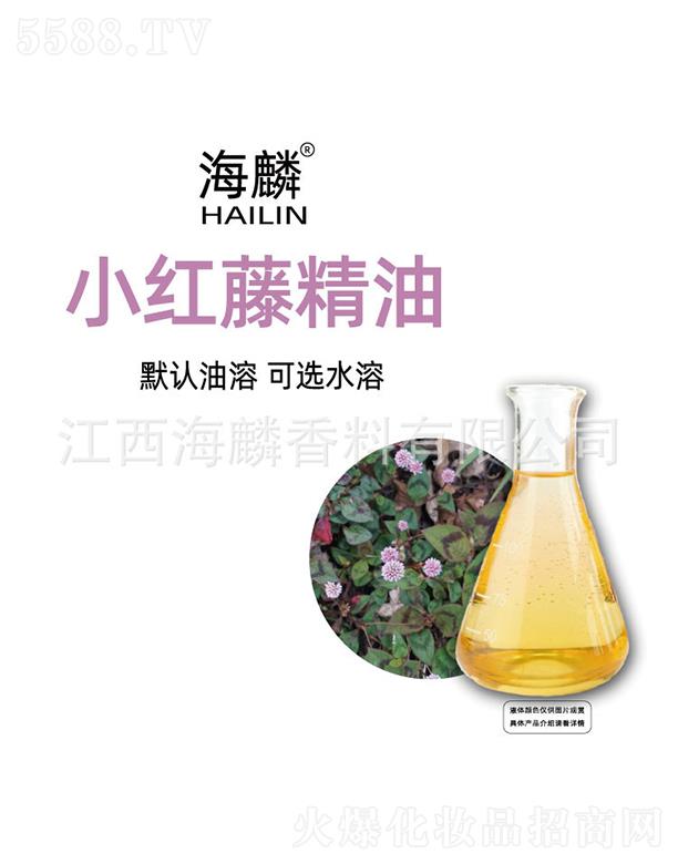 ���������㾫���޹�˾������С�t�پ���