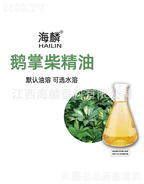 ���������㾫���޹�˾�������Z�Ʋ���