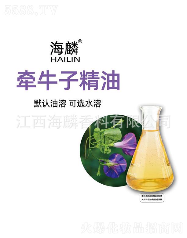 ���������㾫���޹�˾�����렿ţ�Ӿ���