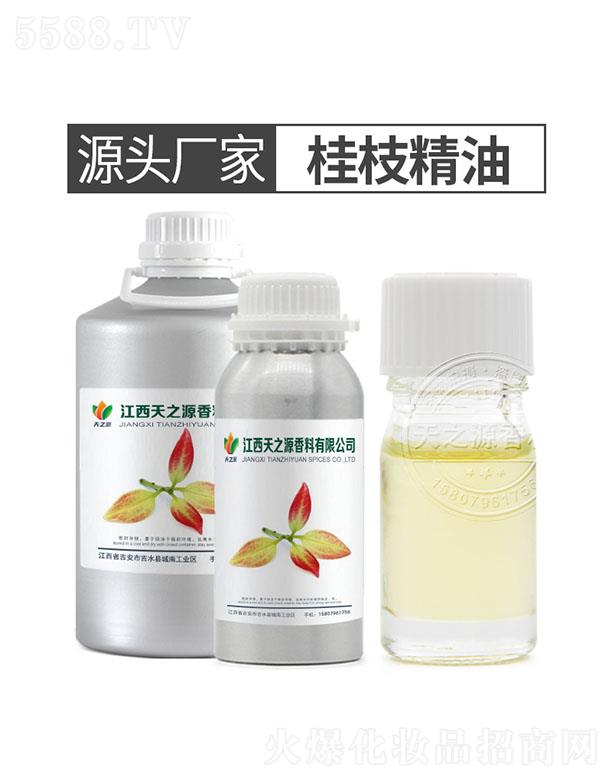 ������֮Դ�������޹�˾����֮Դ��֦����