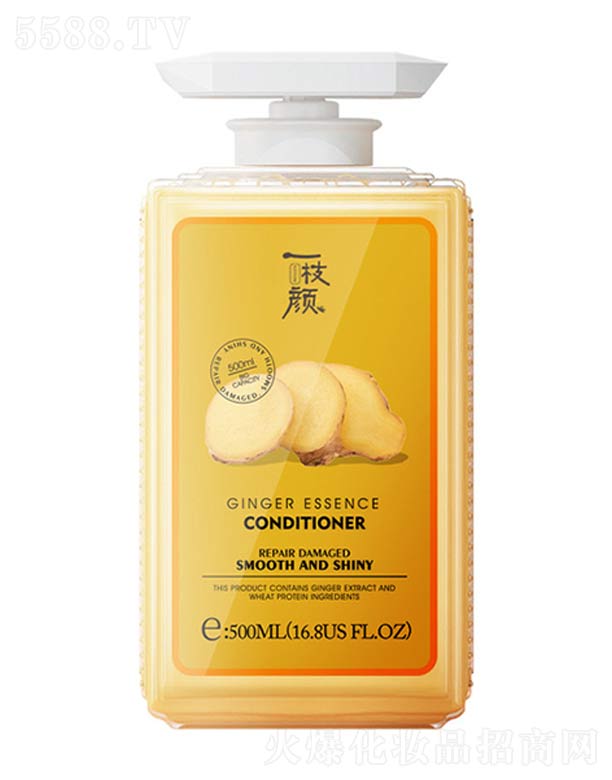 ���y���V�ݣ��Ƽ����޹�˾��һ֦��o(h��)�l(f��)��