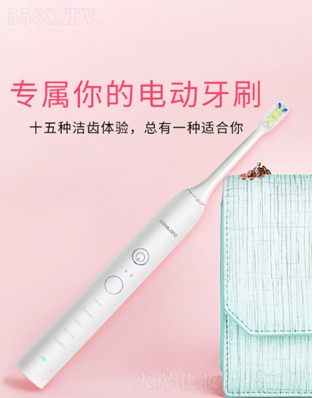 ���������R���Ƽ����޹�˾��ZR505-15�n��(sh��)������늄�(d��ng)��ˢ