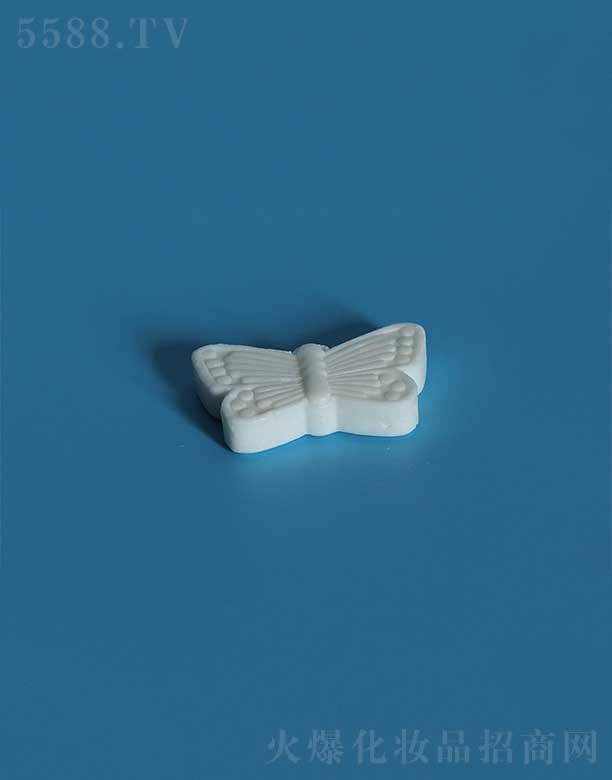 �P�ݻ��i�ջ���Ʒ���޹�˾��������SSH-004