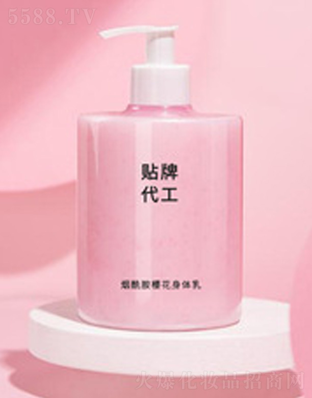 �V�����������＼�g���޹�˾���������ѻ����w����ӹ�