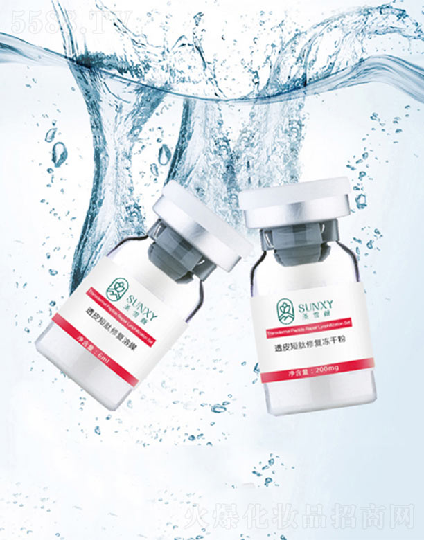 �V�|ʥѩ�����Ƽ����޹�˾��ʥѩ�͸Ƥ�����ޏ̓��ɷ�