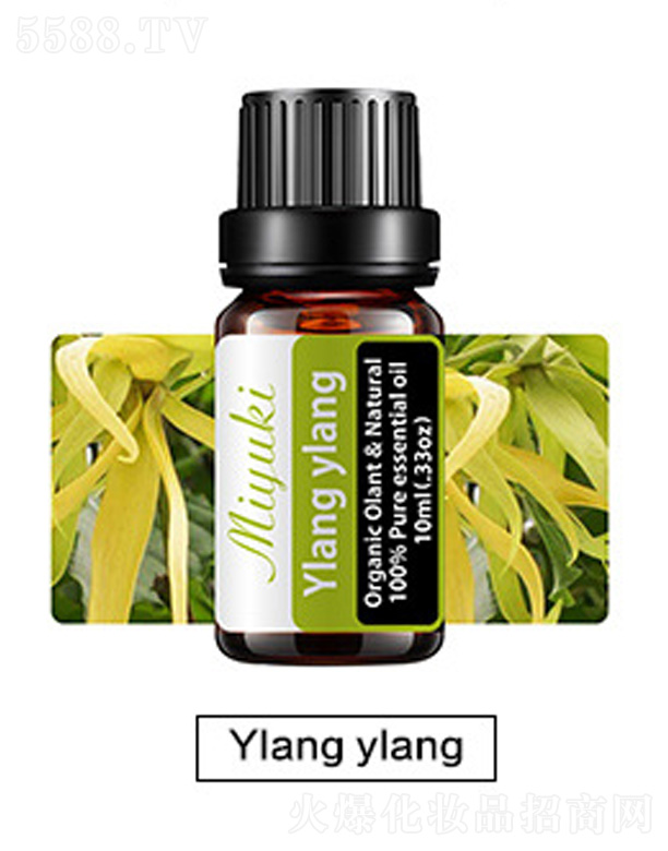 �V���׋I����Ƽ����޹�˾���o�w��޹��Ħ��-Ylang ylang���m