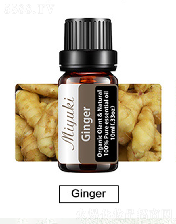 �V���׋I����Ƽ����޹�˾���o�w��޹��Ħ��-Ginger��