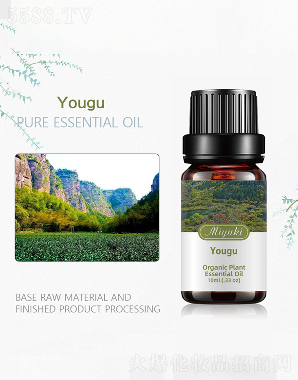 �V���׋I����Ƽ����޹�˾���ĹȾ���