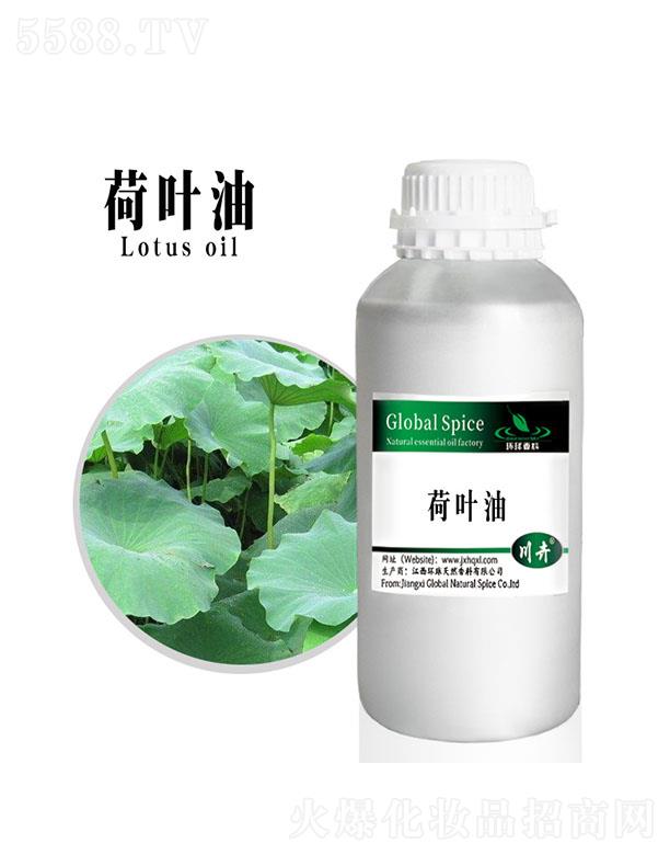 �����h����Ȼ�������޹�˾���h����~��