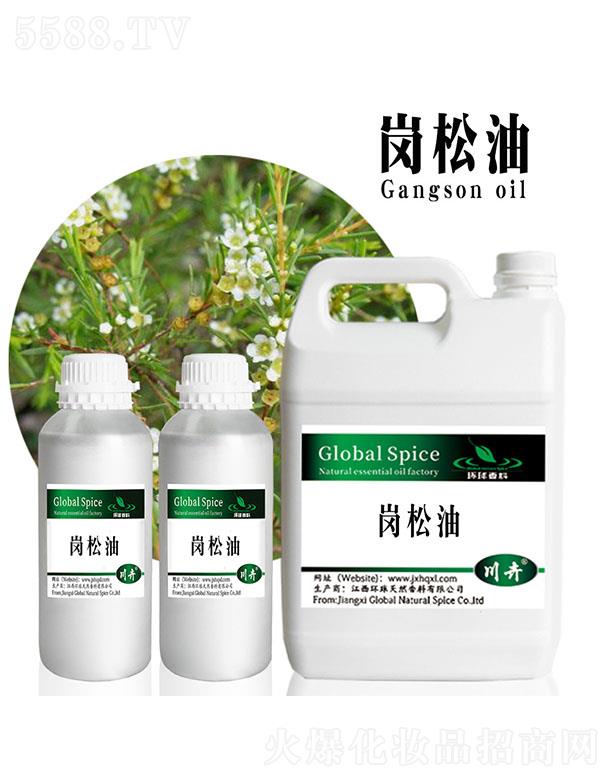 �����h����Ȼ�������޹�˾���h������