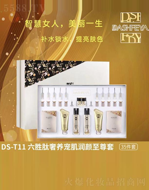 �V��Ʒ������Ƽ��lչ���޹�˾����ɯDS-T11���������B���������