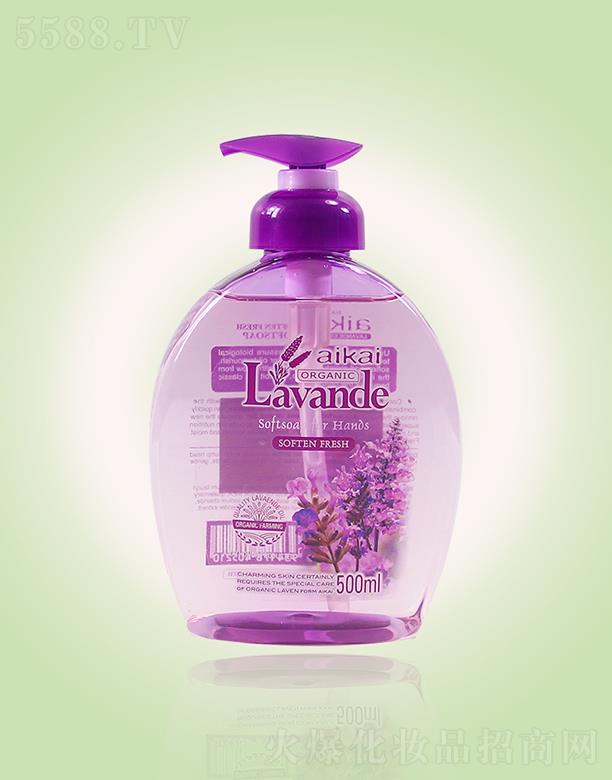 �V�|�żΌ��I���F���޹�˾���ż�޹�²�ϴ��Һ���᝙�����ͣ�500mlչ�F�������w�����˹��