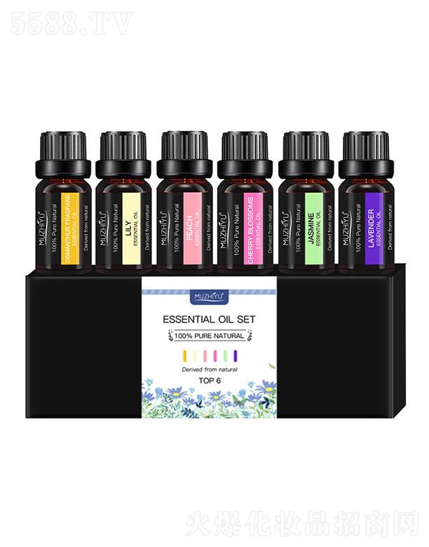 �V�|�Π�������Ƽ����޹�˾���V�|�Π�������   ����ʹ��޹�������b   10ML   �澏ƣ��