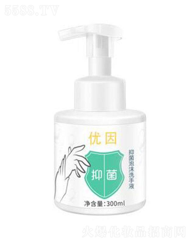 ������̩���û������޹�˾�������־���ĭϴ��Һ 300ml/ƿ