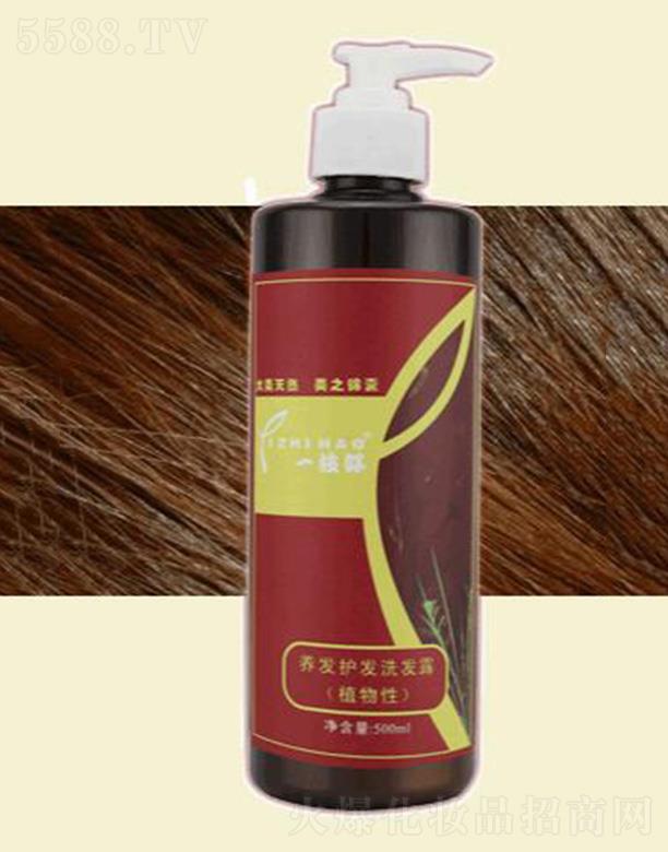 ����ľ�Rһ֦������Ƽ����޹�˾��һ֦���B�l�o�lϴ�l¶��500ml�� �^Ƥ������B�{��