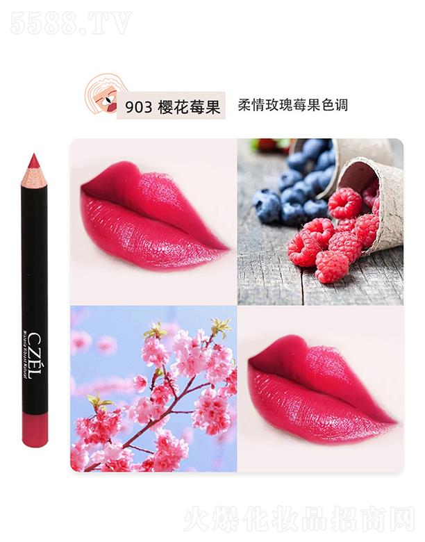 �㽭���`�Pˢ���޹�˾��CZEL��˽q�F΢�񴽾��P903�ѻ�ݮ��