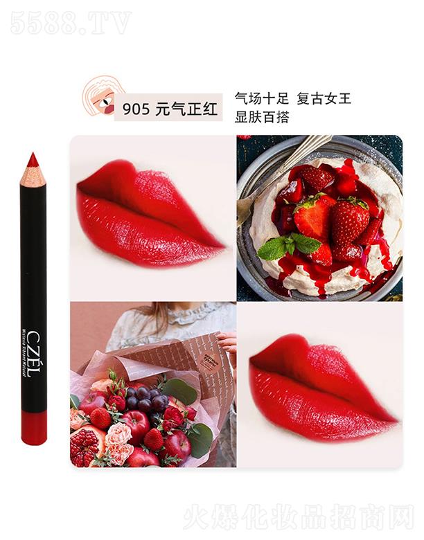 �㽭���`�Pˢ���޹�˾��CZEL��˽q�F΢�񴽾��P905Ԫ�����t