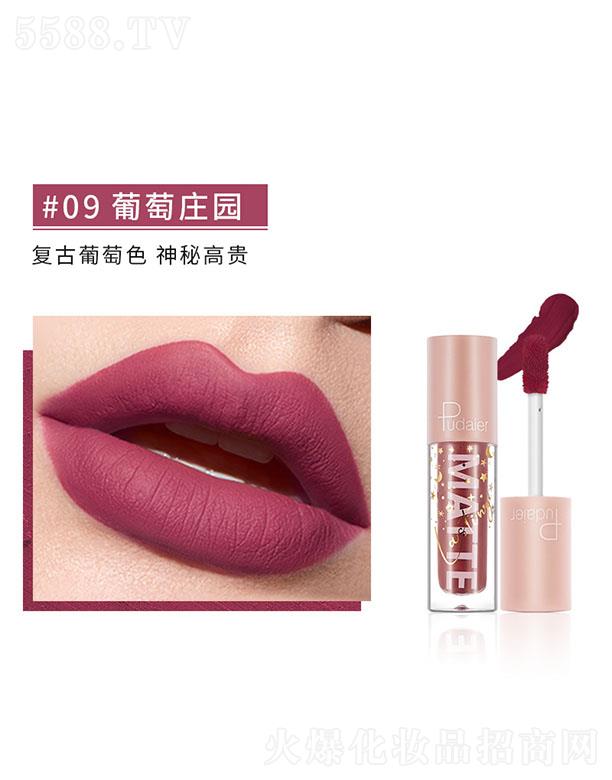 ���ڐ�ӯ�Q�����޹�˾��Pudaier�z�����F���ⴽ��#09�����f�@