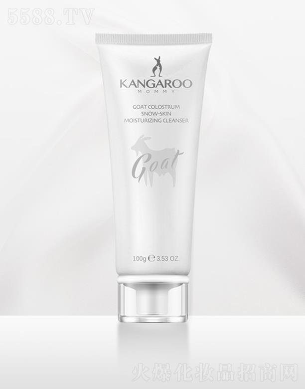 �V�ݐ������Ƽ����޹�˾�����󋌋������𪝙ѩ������� 100g�������oM����