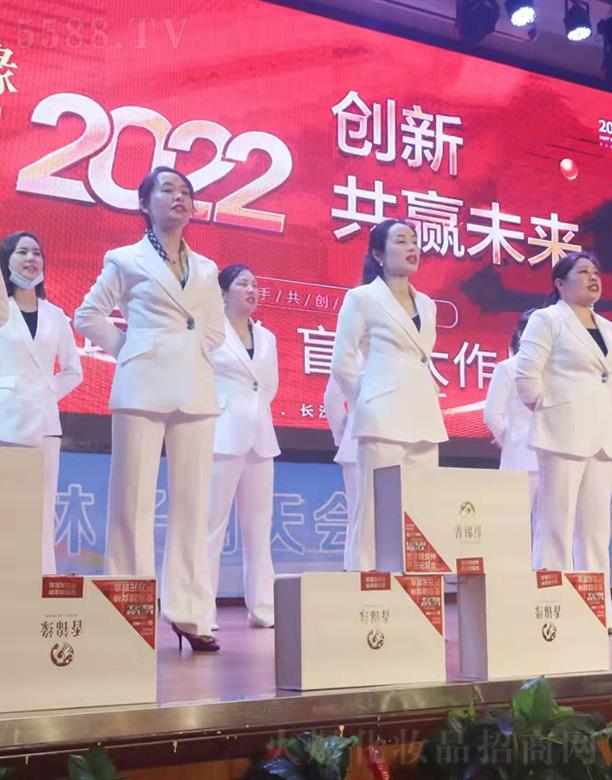 �����S�㻯�yƷ���޹�˾�����\��2022��Ӣ��Ӗ��