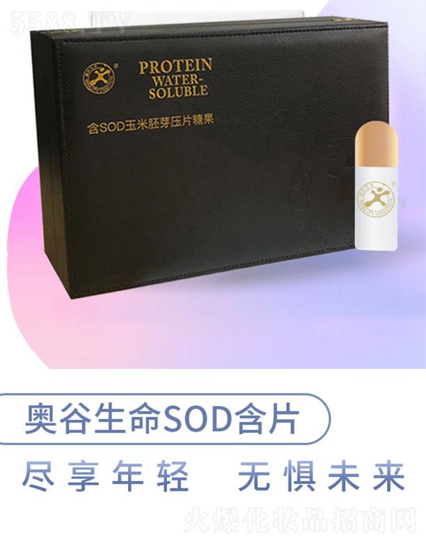 �V��������Q���޹�˾���W��������SOD������ѿ��Ƭ�ǹ�