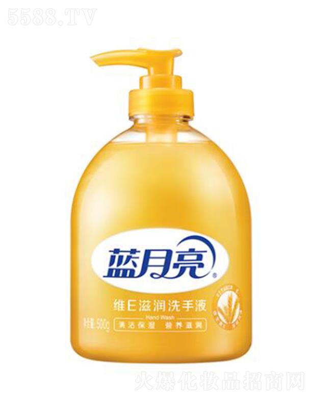 �{����(�Ї�)���޹�˾���{�����SE�̝�ϴ��Һ 500g�坍����I�B�̝�