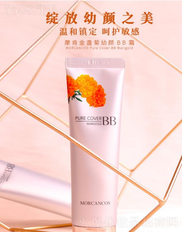 ���݆����Q�����޹�˾��Ħ�Ͻ�K�����BB˪