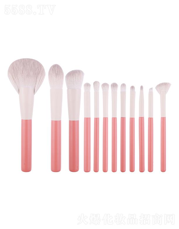 ׿���Ż��y�þ����޹�˾��׿���ż���ϵ�л��y����   ��ܛˢë�ۼtľ�����yˢ    12֧���yˢ���b