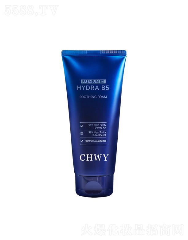 �V�|嫝�����Ƽ����޹�˾��嫝�������ĭϴ���̝�����  ������