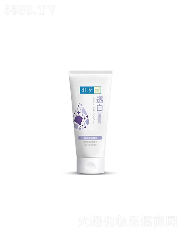 �����׶أ��Ї���ˎ�I���޹�˾�������׶�   ��������͸�׻�ɝ�����   �����wɫ