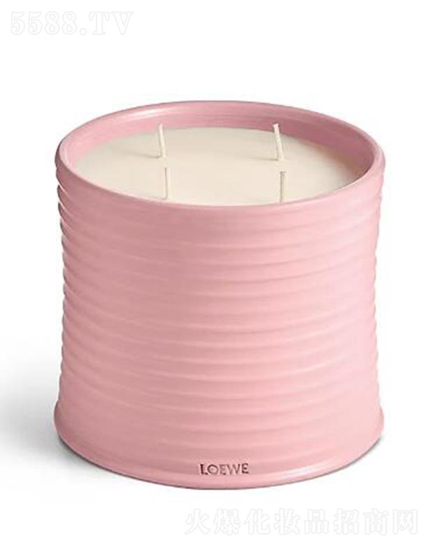 �_�������Q(�Ϻ�)���޹�˾���_������̖�������㾫Ϟ�T